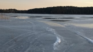 wp_20170219_16_45_31_pro-kopia