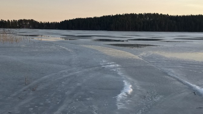 wp_20170219_16_45_31_pro-kopia