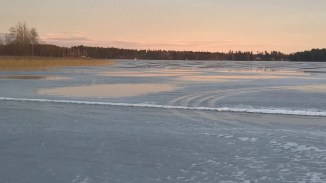 wp_20170219_16_46_28_pro