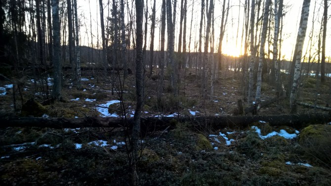 wp_20170219_16_50_14_pro