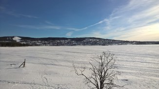 wp_20170225_13_37_52_pro