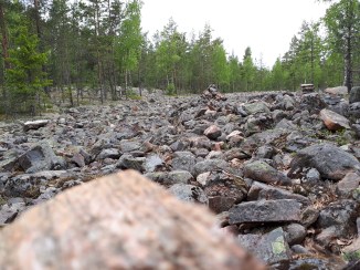 20170604_130914[1532]