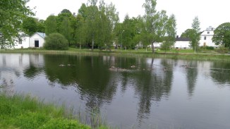 thumbnail_IMG_20170603_145637