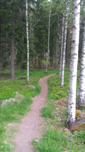 thumbnail_IMG_20170604_071524 - kopie