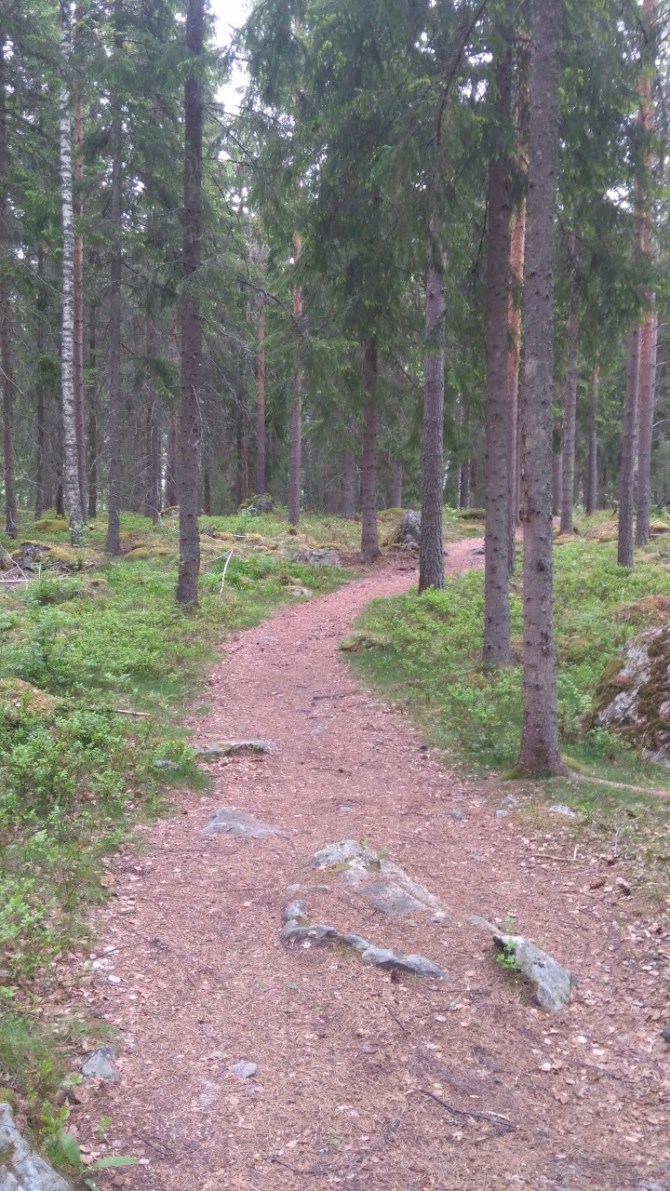 thumbnail_IMG_20170604_071618