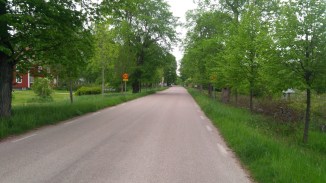 thumbnail_IMG_20170604_073458